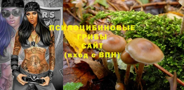 ешки Козельск