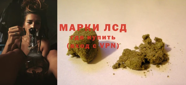 молекула духа Козловка