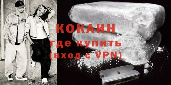 молекула духа Козловка