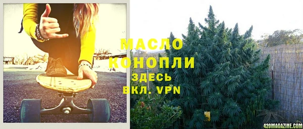молекула духа Козловка