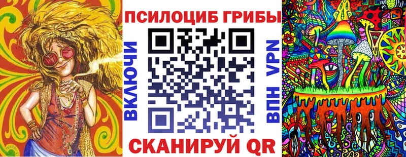 Псилоцибиновые грибы Psilocybe  Купить где  Подпорожье 